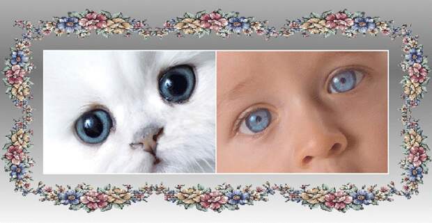 viewer (700x525, 504Kb)/4387736_viewer (700x363, 454Kb)