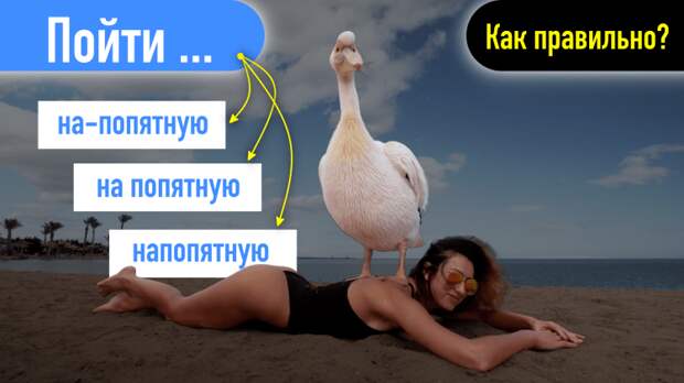 Тест на грамотность: лишь 1 человек из 100 может правильно написать эти 12 слов