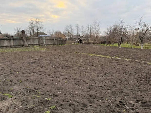 Сыпьте это на снег в марте: к апрелю земля станет как пух, а соседи обзавидуются