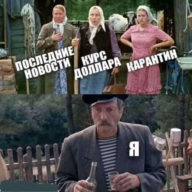 Похоже на правду