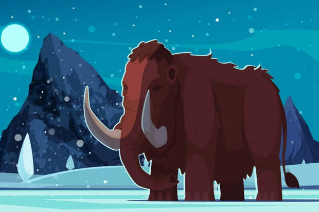Мамонт и слон: почему это не предок и потомок, а двоюродные братья