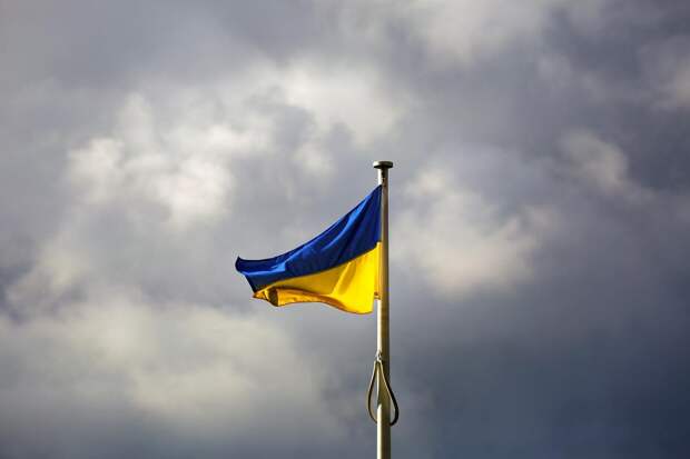Журналист Гителинк: Саммит по Украине без России не воспринимают всерьез