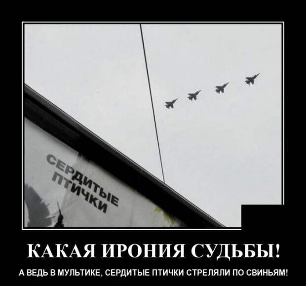 Демотиваторы (20 фото)