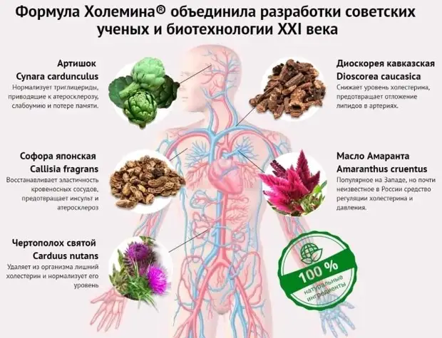 6 правил питания для здоровых сосудов и обзор продуктов для их укрепления и очищения