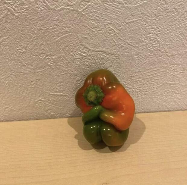 5. 5.