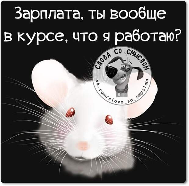 5672049_1429124358_frazochki7 (604x594, 62Kb)