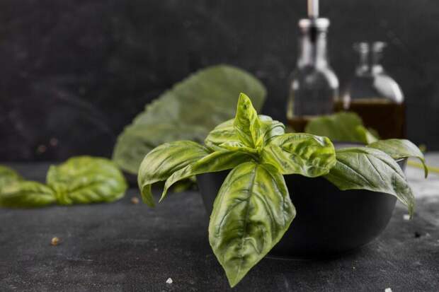 Душица не только для чая: как раскрыть ее потенциал на кухне