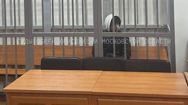 Зарезавшего 18-летнего жителя Подмосковья уроженца Таджикистана отправили в СИЗО