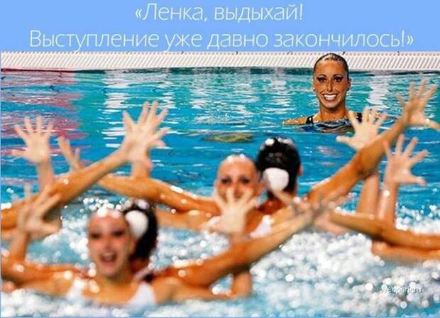 Эти забавные синхронистки  вода, синхронистки, спорт, юмор