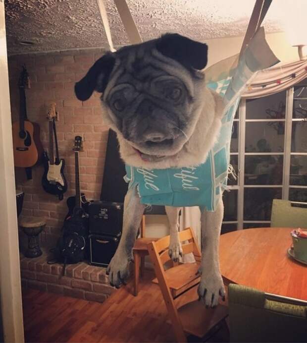 20 человек, которые прибыли к нам прямиком из будущего 20 человек, которые прибыли к нам прямиком из будущего