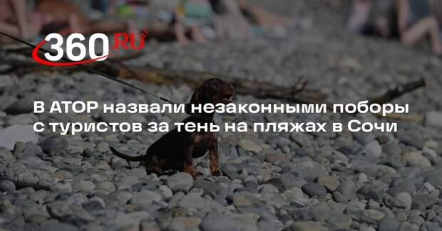 В АТОР назвали незаконными поборы с туристов за тень на пляжах в Сочи
