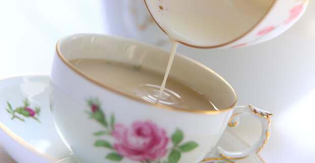 Врач Шмелёва: Молоко, добавленное в чай, убивает всю его пользу