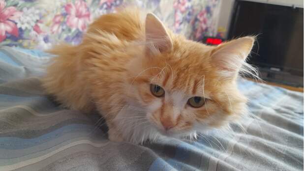 В наше не спокойное время самым лучшим активом скоро будет считаться автомат Калашникова