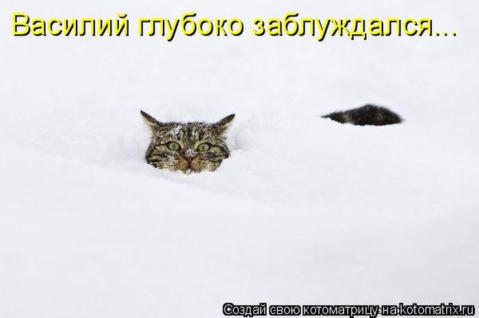 Мысли вслух :)