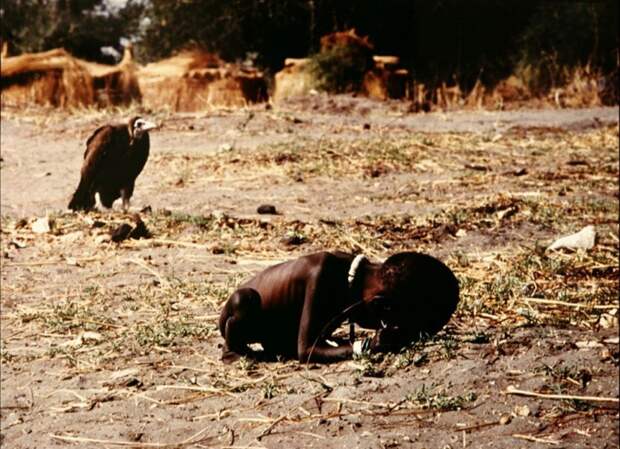 Снимок фотографа Кевина Картера (Kevin Carter), удостоенный Пулитцеровской премии. Снимок фотографа Кевина Картера (Kevin Carter), удостоенный Пулитцеровской премии. история, самоубийство, трагедия, факты, фото