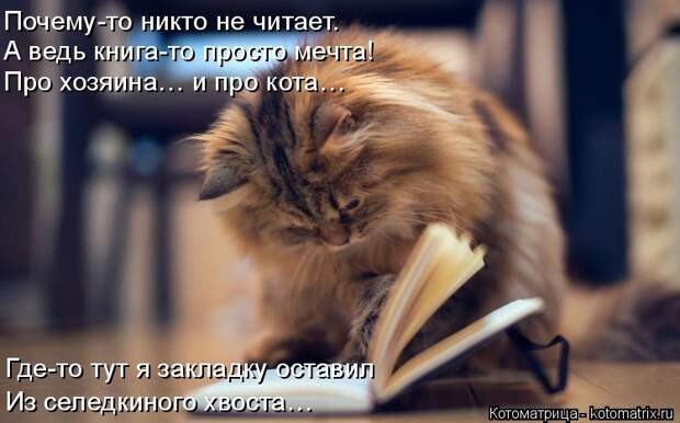 Котоматрица: Почему-то никто не читает. А ведь книга-то просто мечта! Где-то тут я закладку оставил Про хозяина… и про кота… Из селедкиного хвоста…