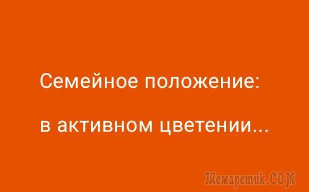 Демотиваторы и анекдоты мимоходом