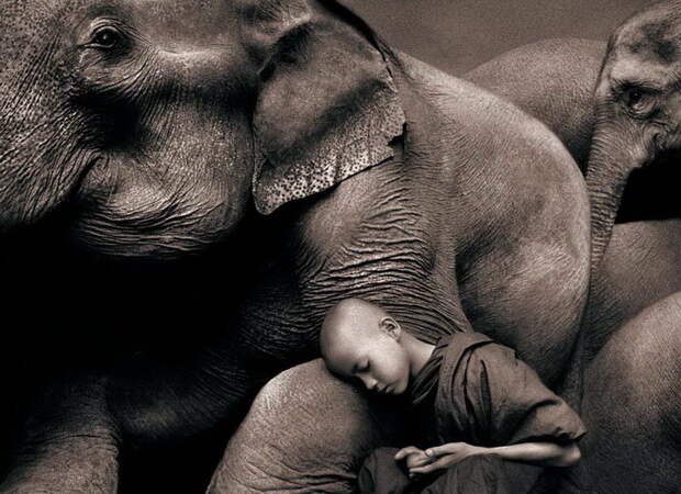 Люди и животные в фотографиях Gregory Colbert Люди и животные в фотографиях Gregory Colbert