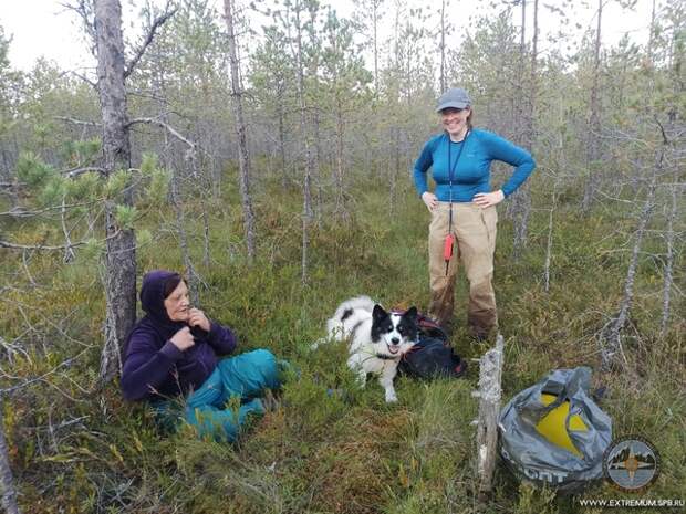 Пальцы — в кровь, постель — из веток и травы. 73-летняя пенсионерка «кружила» девять дней в псковских и ленинградских лесах