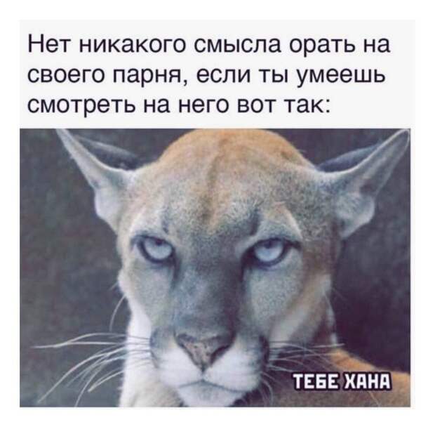 Мемы и приколы про &quot;это&quot;