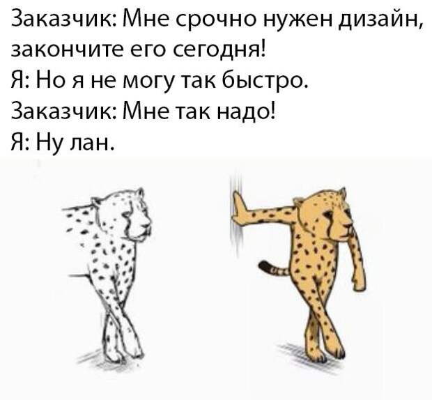 kartinok-prikolnyh-podborka-kartinki-smeshnye-kartinki-fotoprikoly