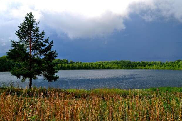 Озеро Светлояр. природа, россия, фото