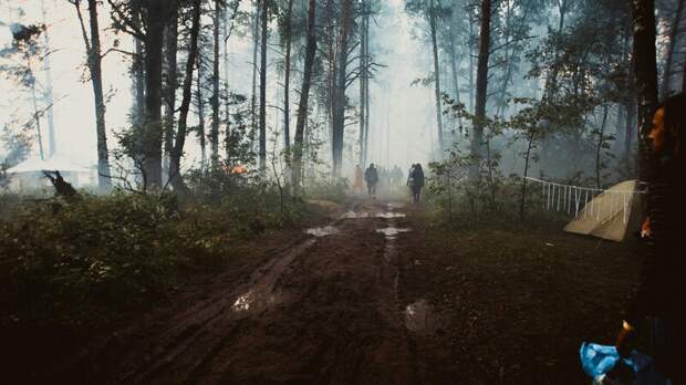 20th Century приобрела права на экранизацию игры 99 Nights in the Forest