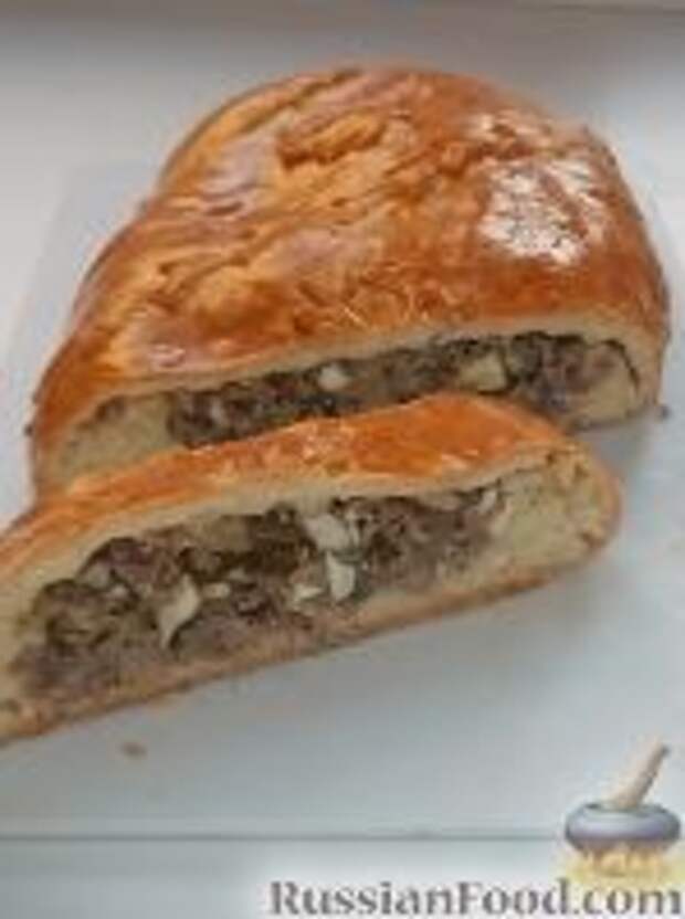 Фото к рецепту: Кулебяка с мясом