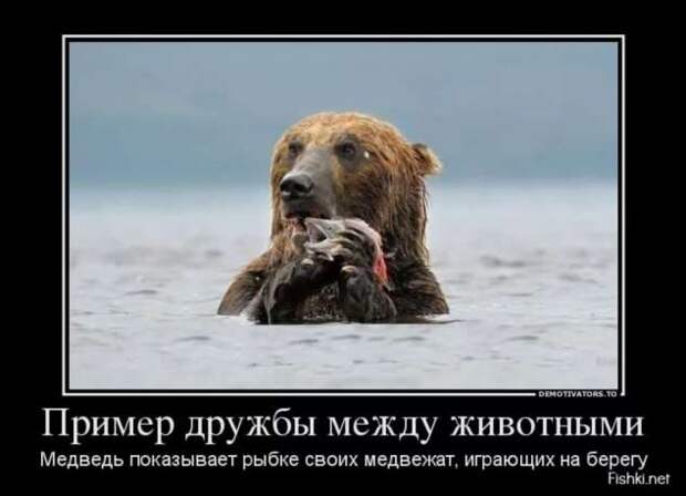 Прикольные демотиваторы с надписями. Подборка chert-poberi-dem-chert-poberi-dem-57570603092020-11 картинка chert-poberi-dem-57570603092020-11