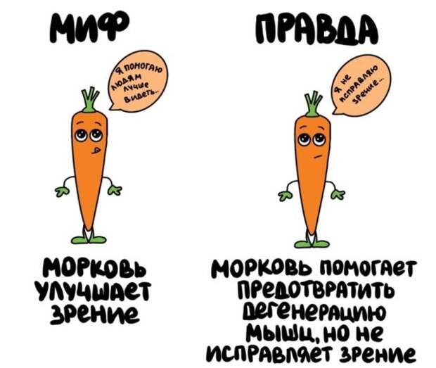 Короткие интересные факты обо всем
