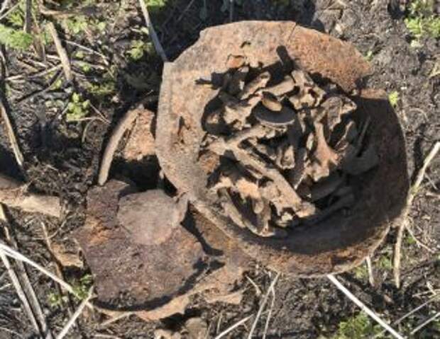В Сумской области поисковики нашли останки красноармейцев и немецких солдат
