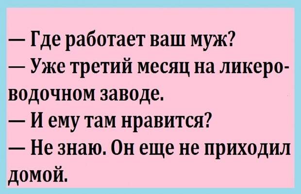 ВИннЕГРЕТ 56 ВИннЕГРЕТ 56