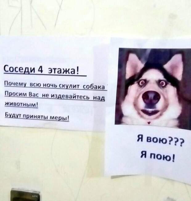На борьбу с животными становись На борьбу с животными становись