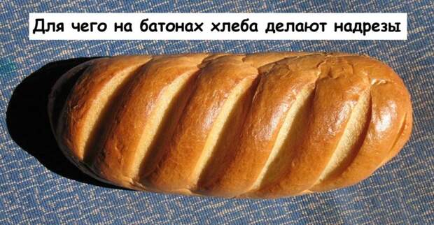 Для чего на батонах хлеба делают надрезы