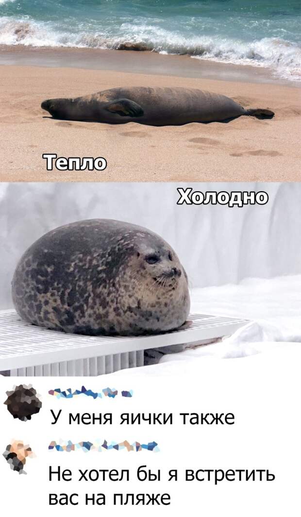 Подборка прикольных картинок
