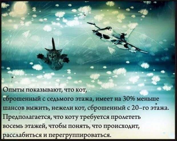 Подборка интересных фактов для Вашего мозга (15 картинок) Подборка интересных фактов для Вашего мозга (15 картинок)