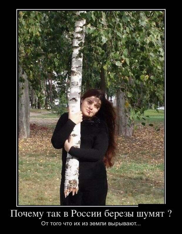 Демотиваторы (30 фото)