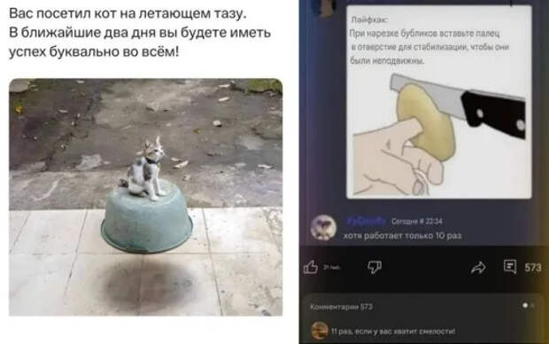 Устали от рутины и забот? Пора отвлечься и зарядиться позитивом!