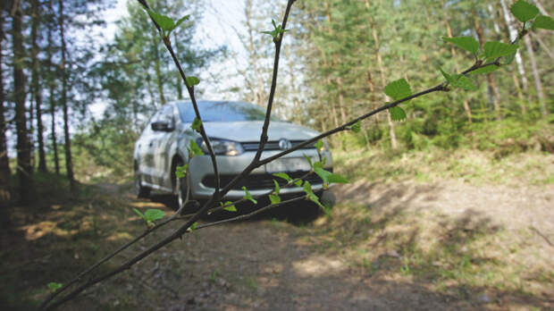 Volkswagen Polo застрял в лесу
