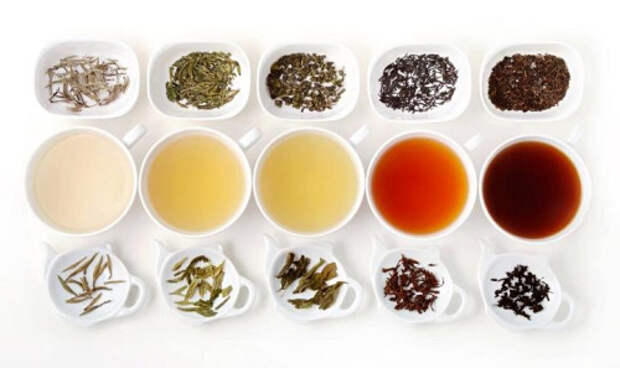 Какой чай самый полезный для здоровья. Изображение номер 7