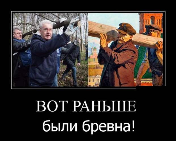 Демотиваторы на субботу (30 фото)