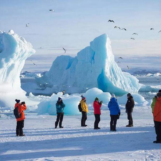 Антарктида за 95 тысяч: круиз на край света начал конкурировать с Турцией