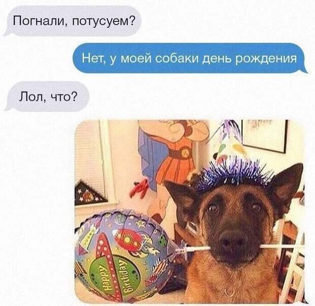 У собаководов свои приколы со странностями