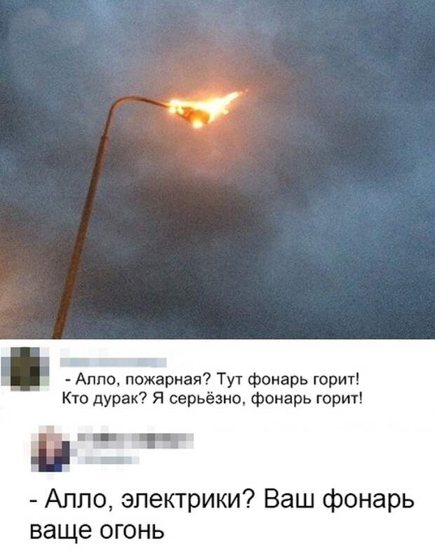 Подборка картинок. Вечерний выпуск (21 фото)