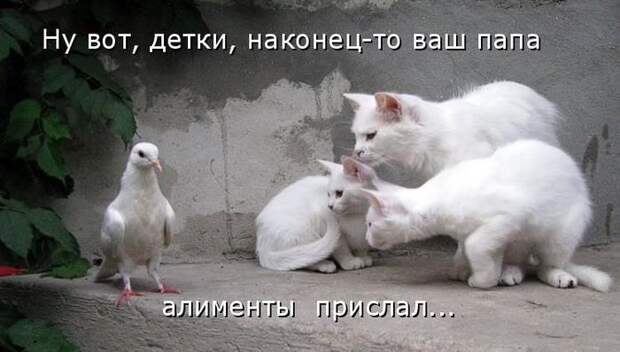 Мысли вслух :)