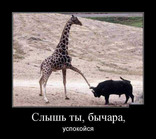 Демотиваторы