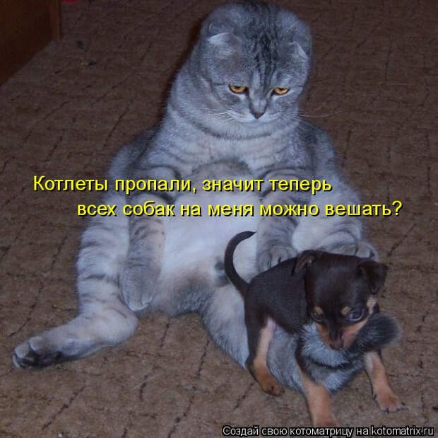 kotomatritsa_k (651x650, 247Kb)
