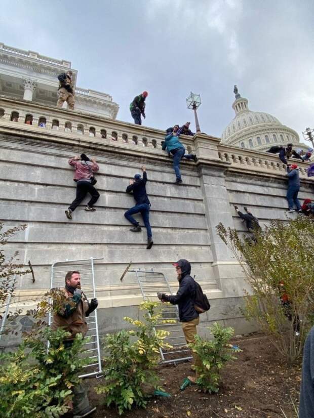 Capitol Building Storm memes