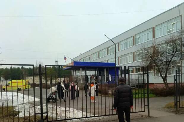 Работу органов профилактики проверят после нападения подростка на учителя