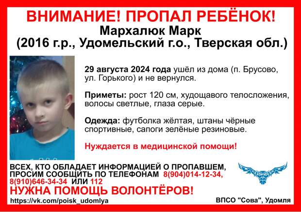 В Тверской области ищут мальчика в желтой футболке